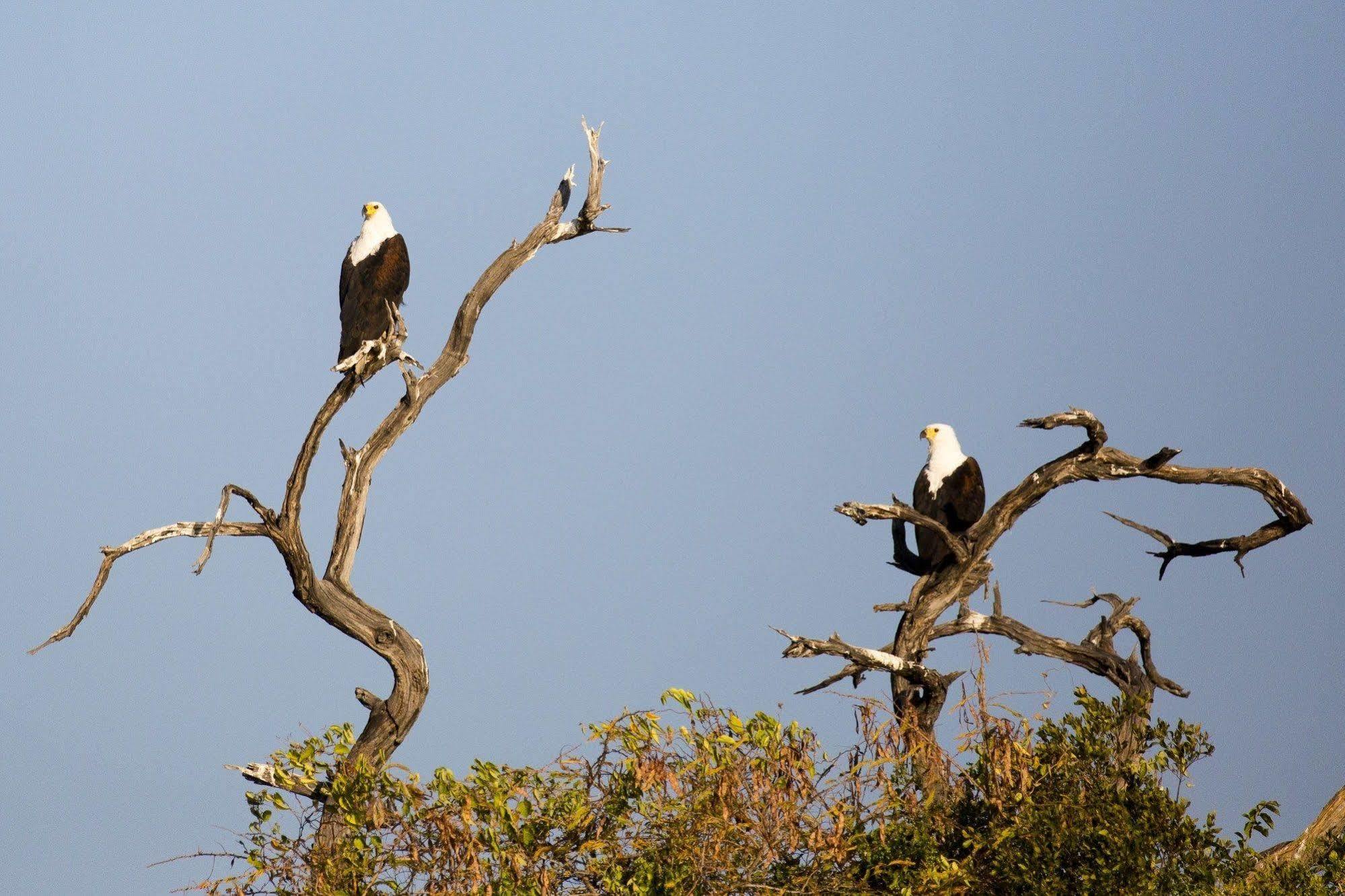 Gondwana Hakusembe River Lodge Rundu Dış mekan fotoğraf
